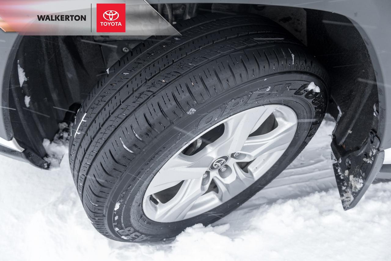 2021 Toyota RAV4 XLE 4dr All-wheel Drive Photo