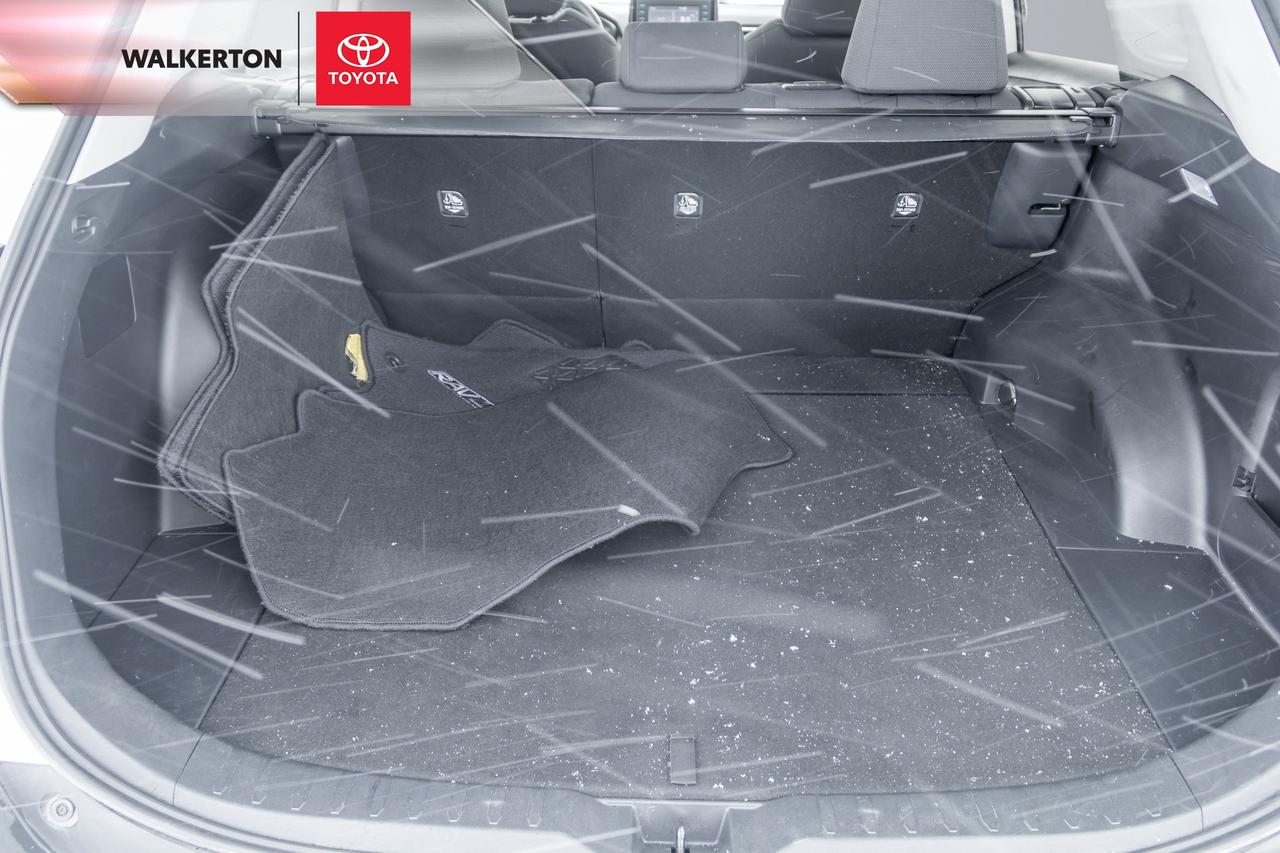 2021 Toyota RAV4 XLE 4dr All-wheel Drive Photo