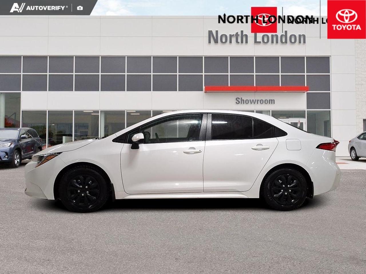 2020 Toyota Corolla  Photo