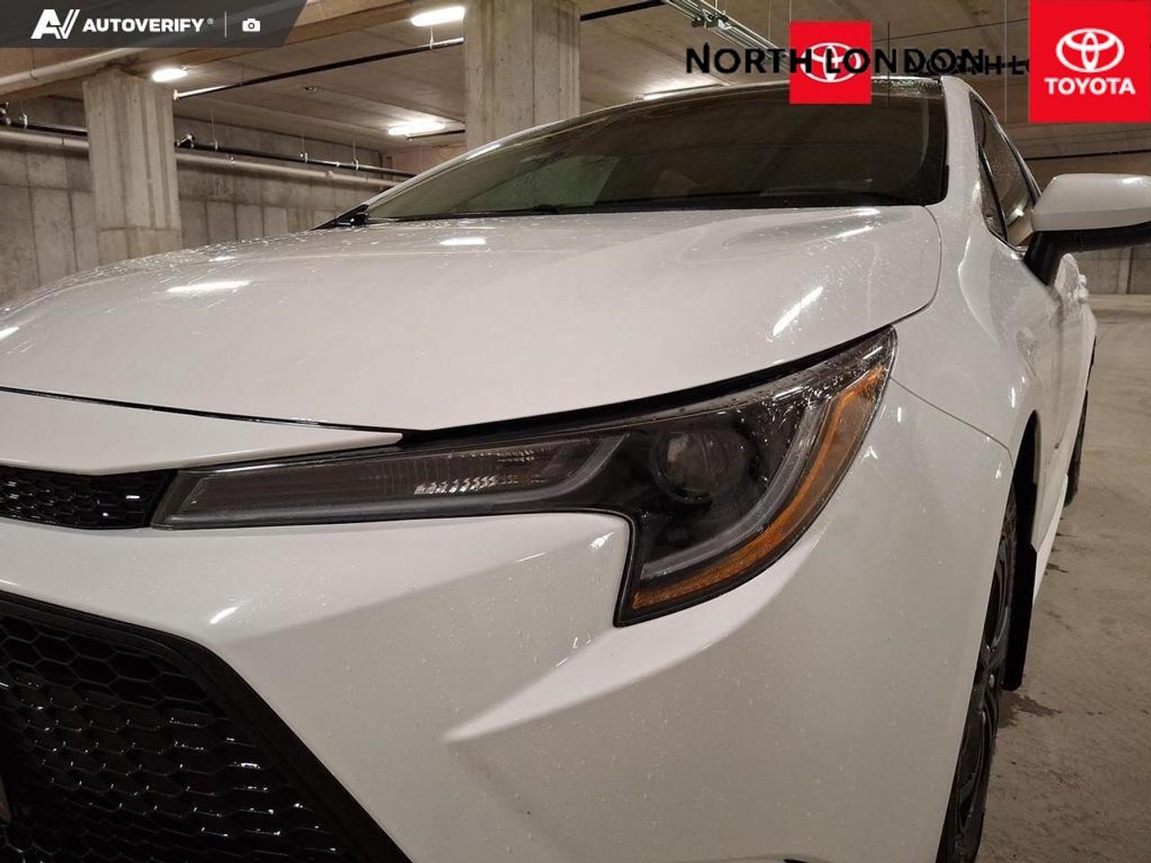 2020 Toyota Corolla  Photo