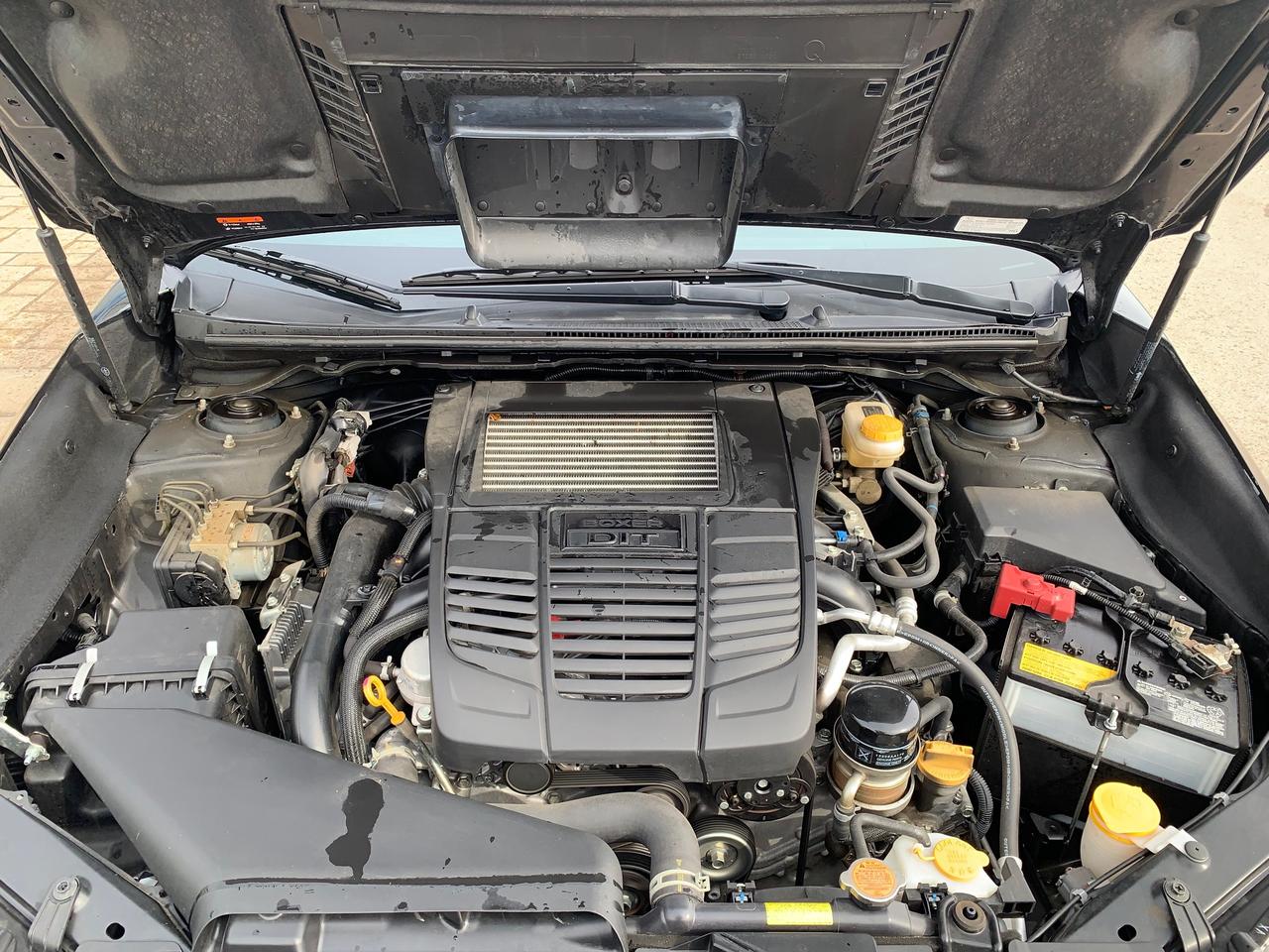 2021 Subaru WRX Sport (M6) 4dr All-Wheel Drive Sedan Photo