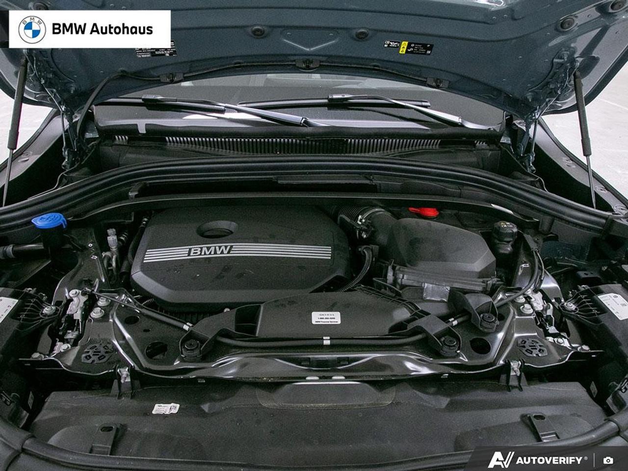 2026 BMW X2 xDrive28i Sports Activity Coupe Photo