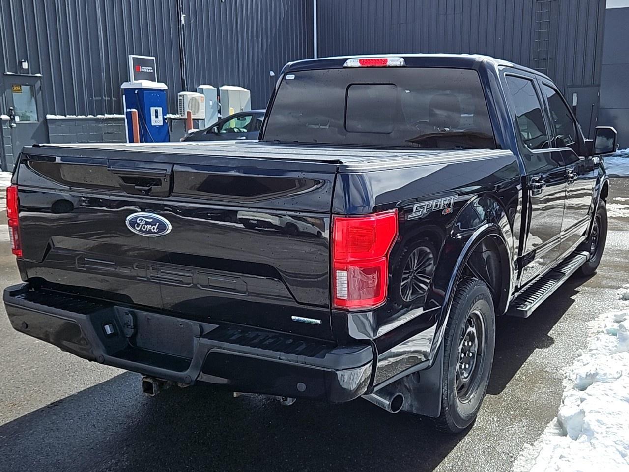 2020 Ford F-150  Photo