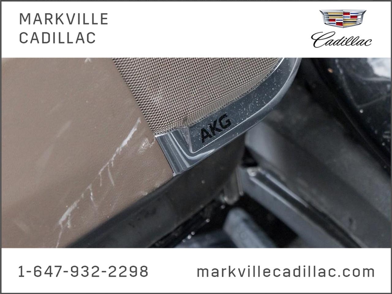 2022 Cadillac Escalade Premium Luxury 4x4 Photo