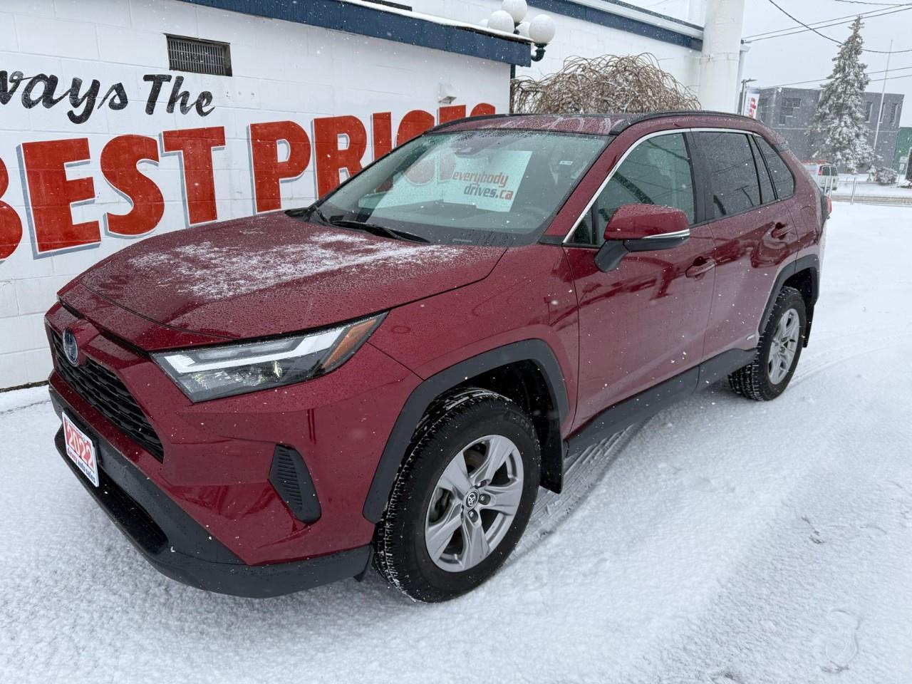 2022 Toyota RAV4 Hybrid XLE 4dr All-Wheel Drive Photo2