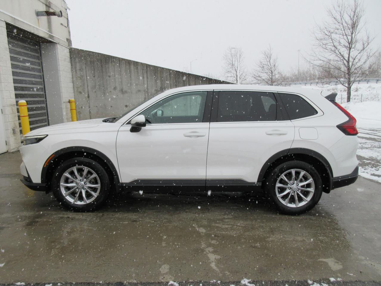 2024 Honda CR-V EX-L 4dr All-wheel Drive Photo2