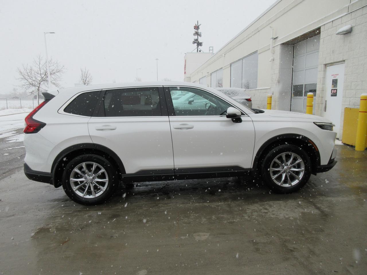 2024 Honda CR-V EX-L 4dr All-wheel Drive Photo