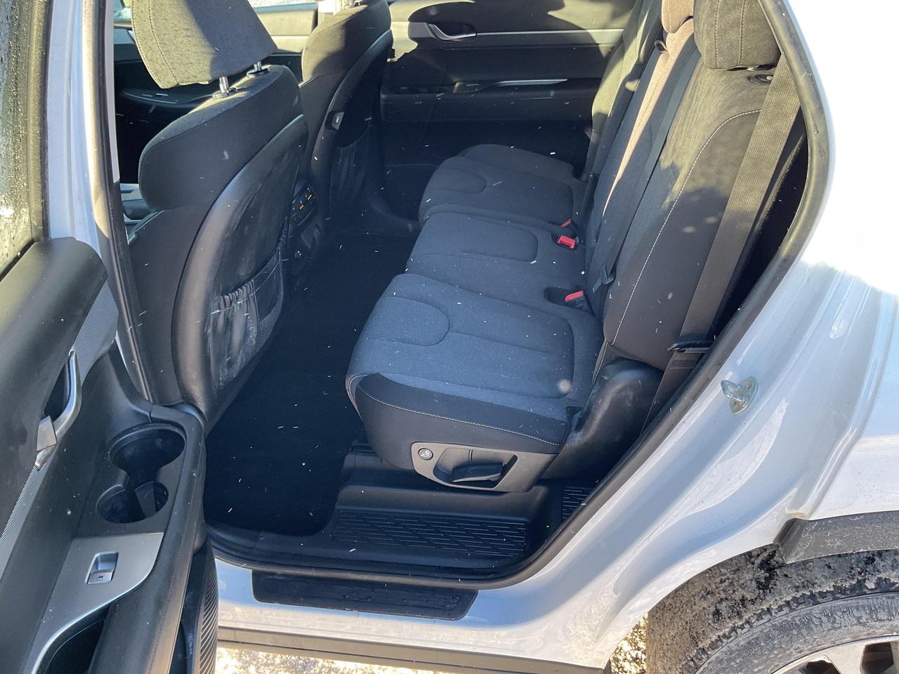 2020 Hyundai PALISADE  Photo