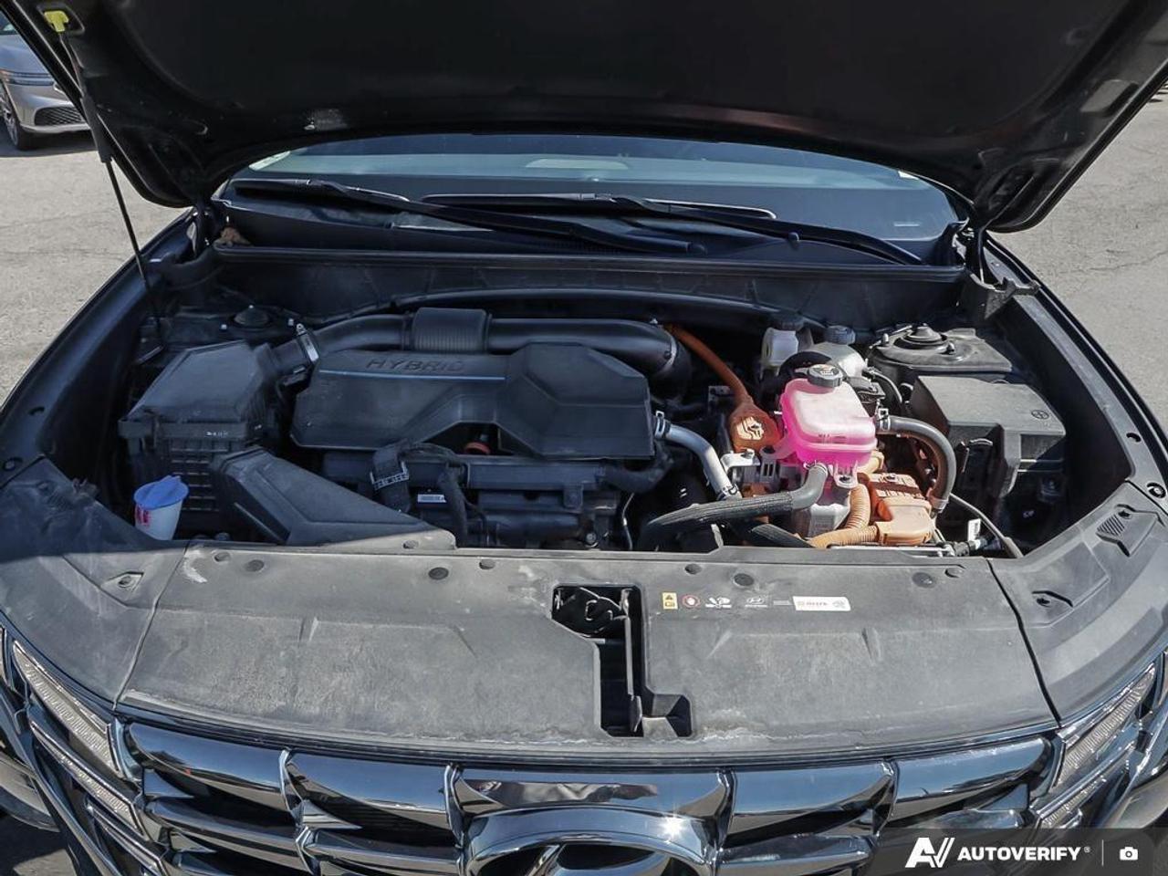 2024 Hyundai Tucson Hybrid Ultimate 4dr All-Wheel Drive Photo