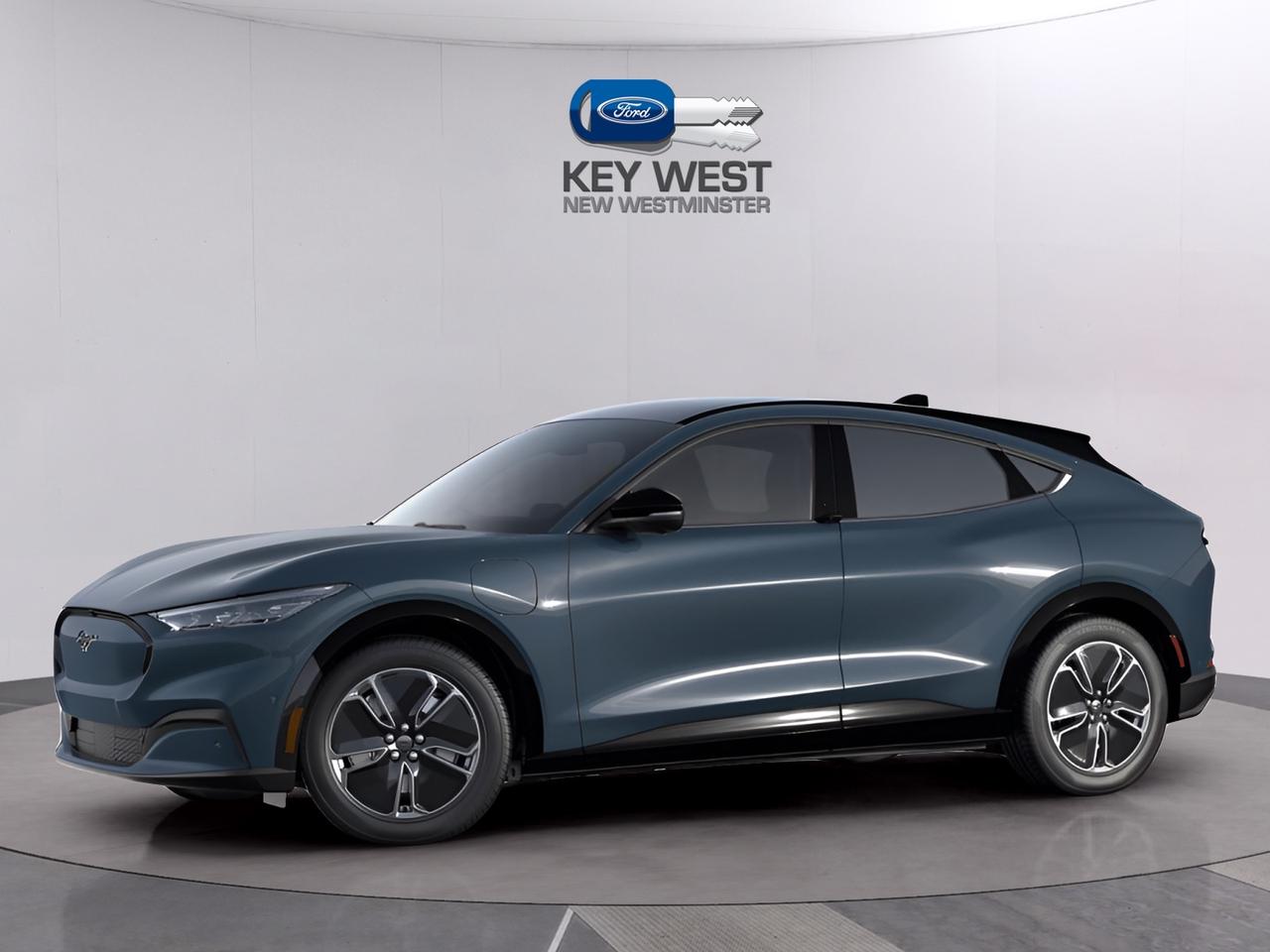 2023 Ford Mustang Mach-E Premium Photo0