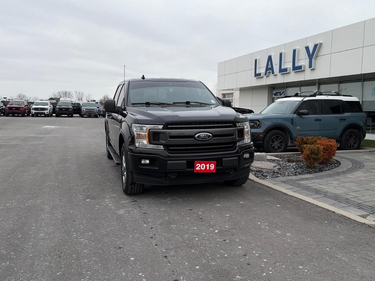 2019 Ford F-150 XLT 4WD SuperCrew 5.5' Box Photo0
