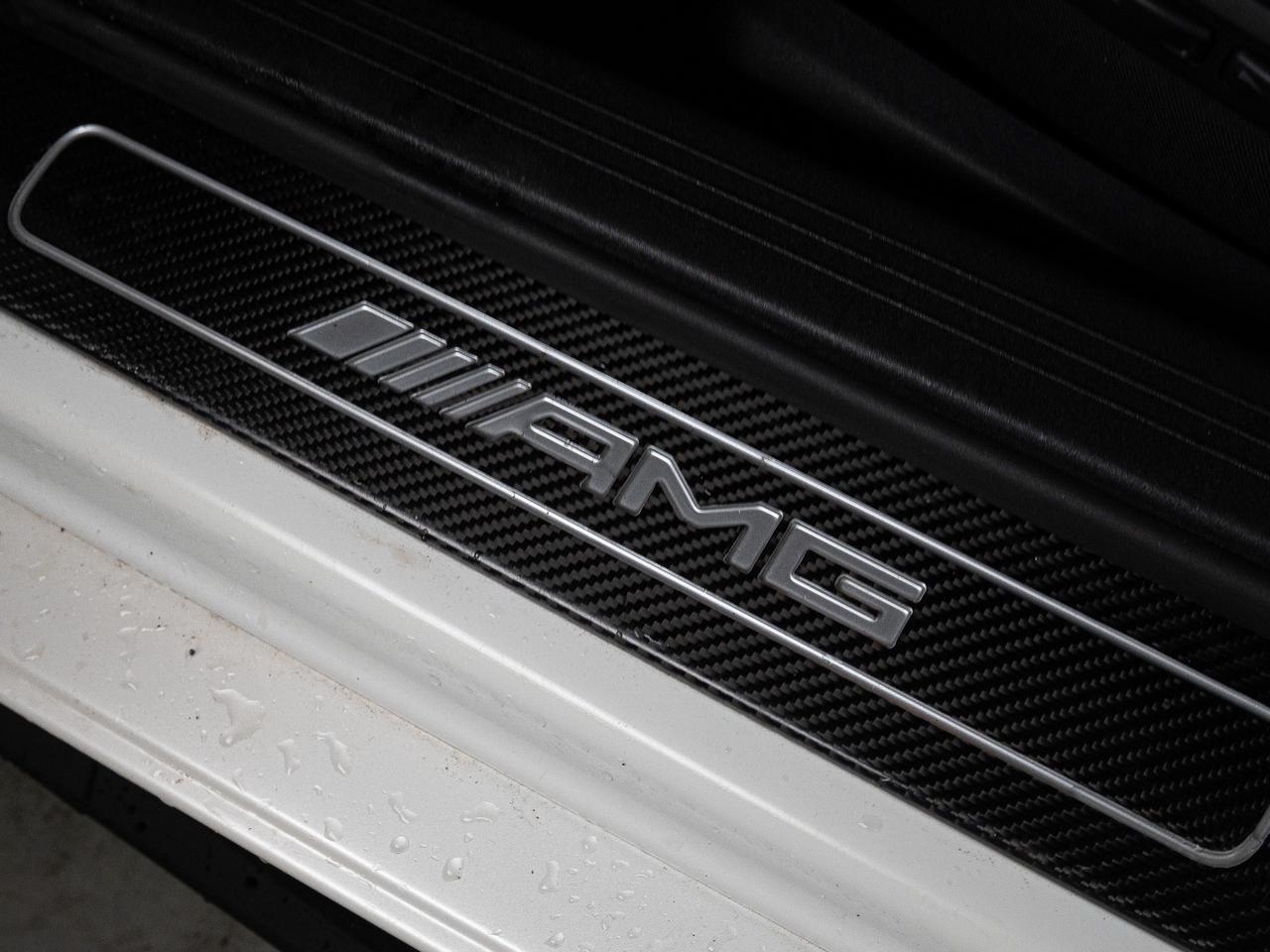 2018 Mercedes-Benz AMG GT C | 50 EDITION | CARBON FIBRE | MATTE | BURMESTER Photo