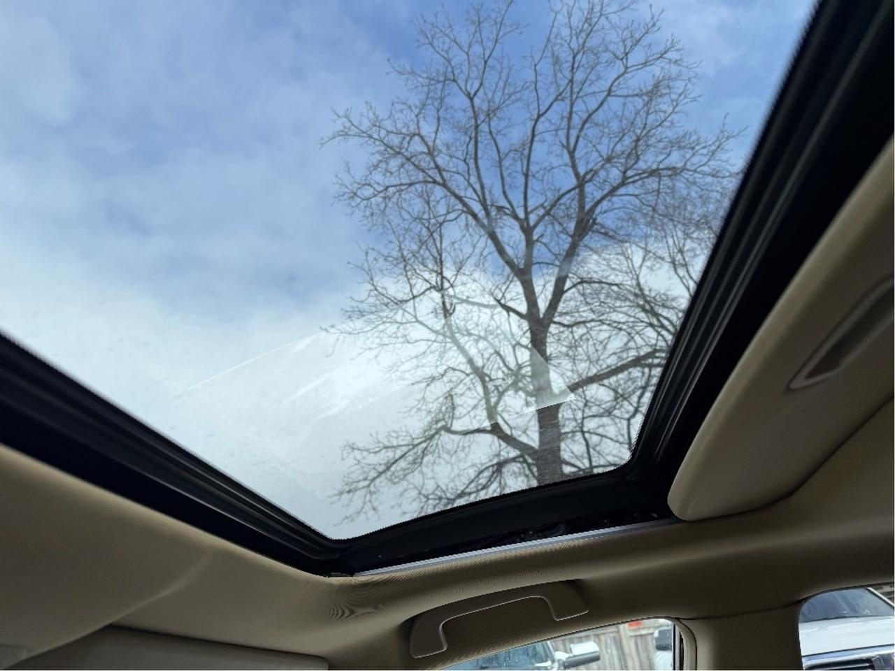 2011 Honda CR-V EX-L | Loaded | Very Well Maintained Photo