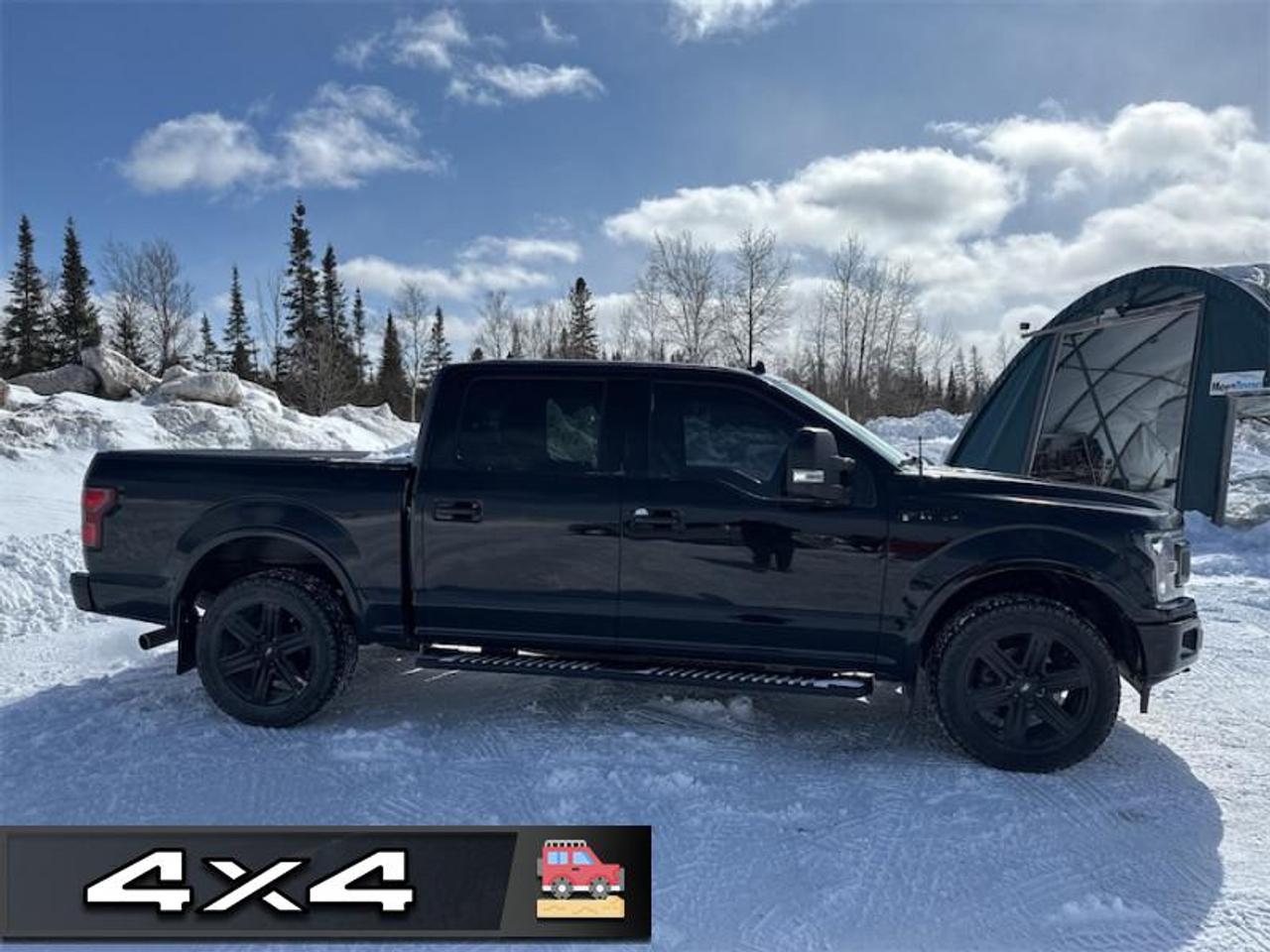 2018 Ford F-150 XLT   Panoramic Sunroof- $294 B/W Photo1