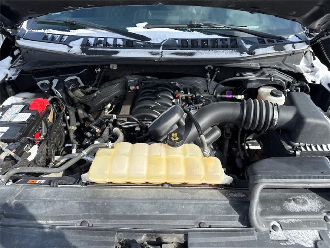 2018 Ford F-150 XLT   Panoramic Sunroof- $294 B/W Photo