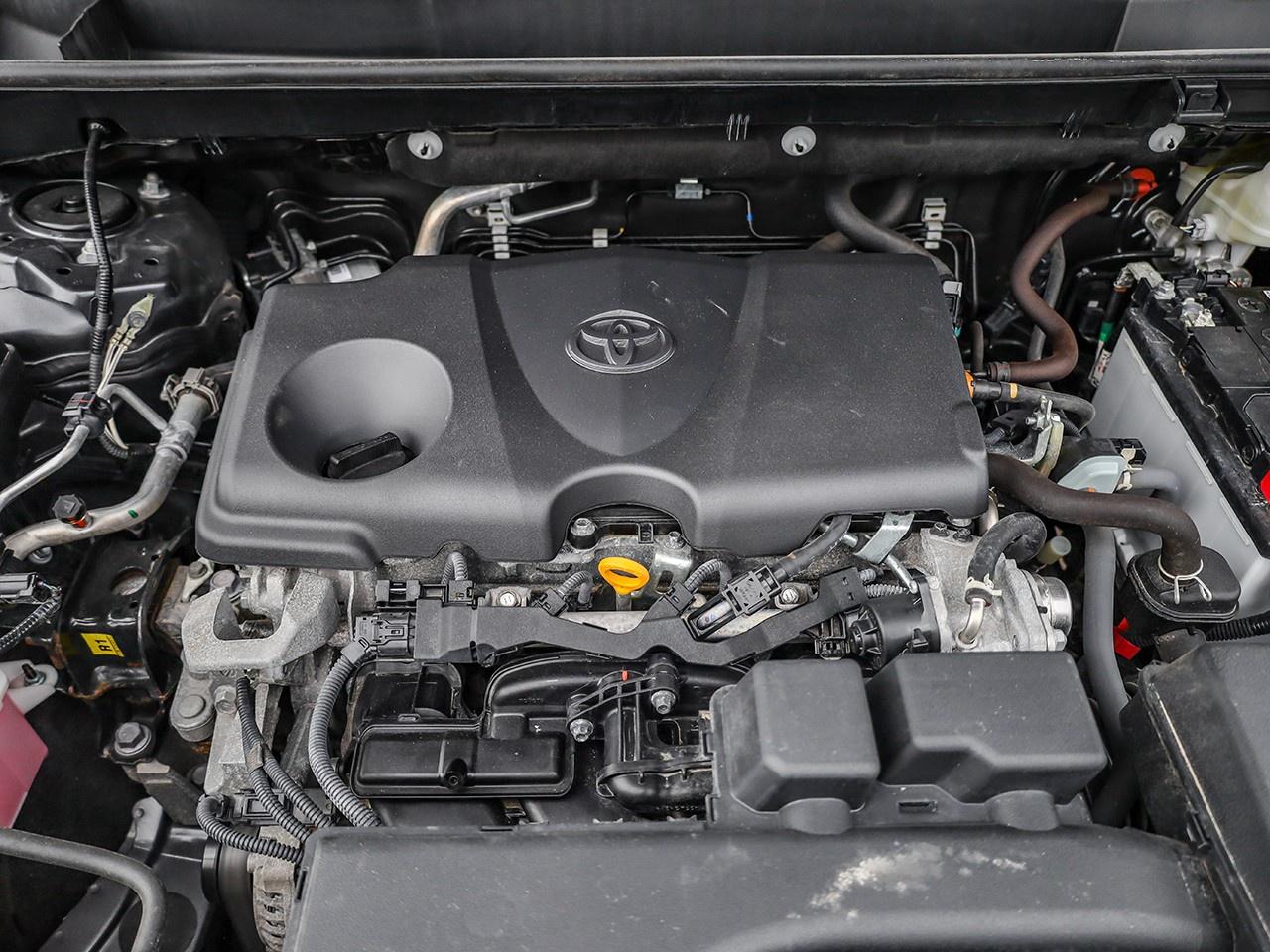 2024 Toyota RAV4 LE Photo