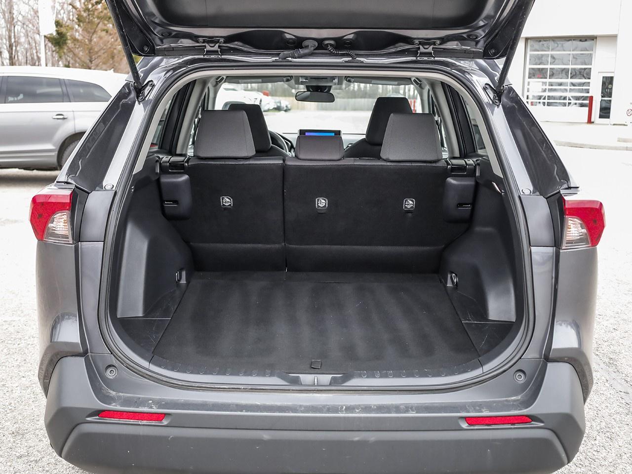 2024 Toyota RAV4 LE Photo