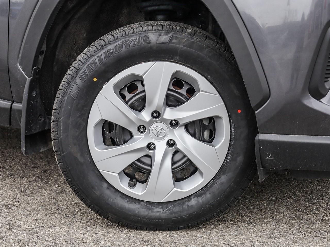 2024 Toyota RAV4 LE Photo