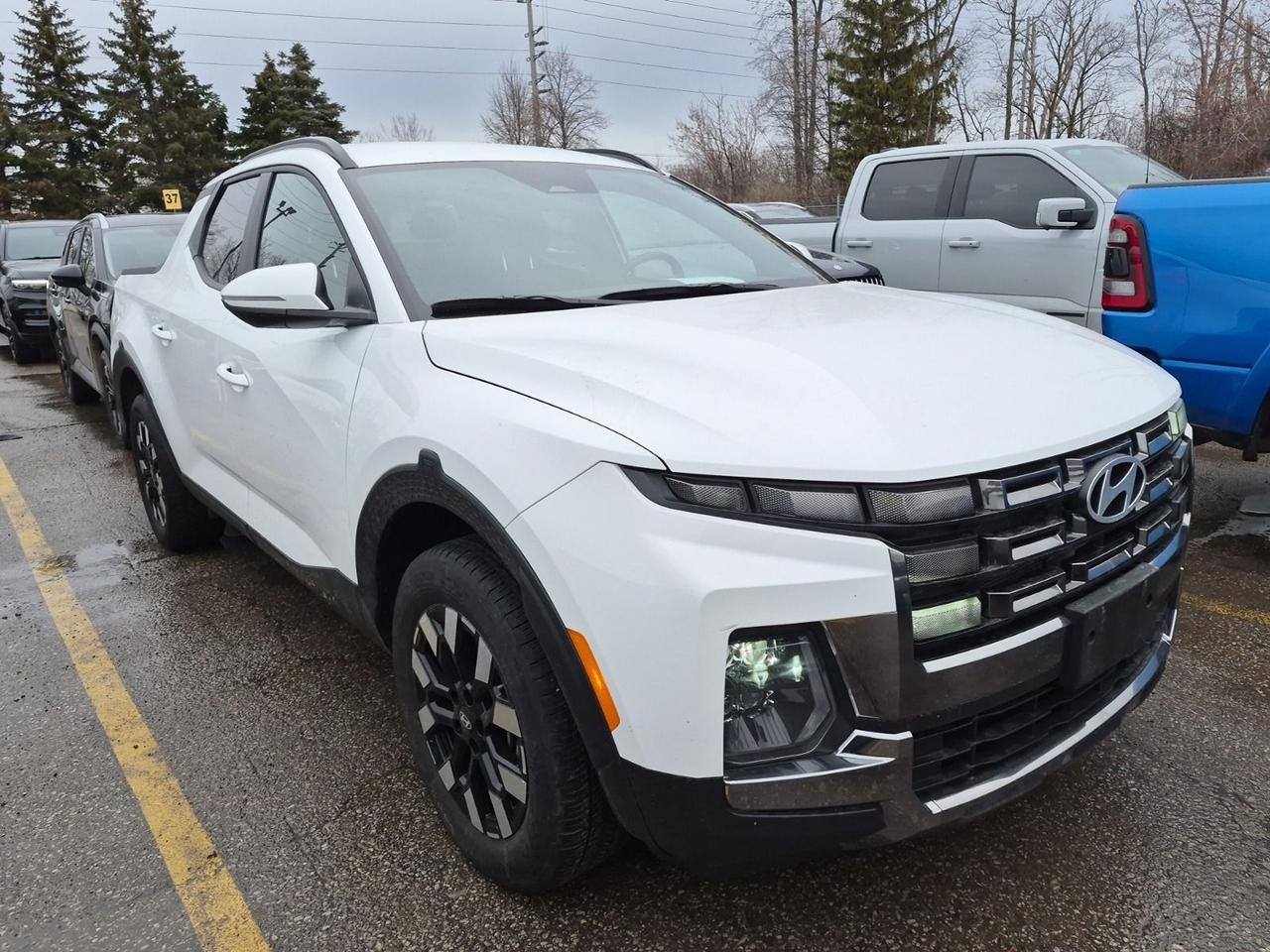 2025 Hyundai Santa Cruz Preferred Photo