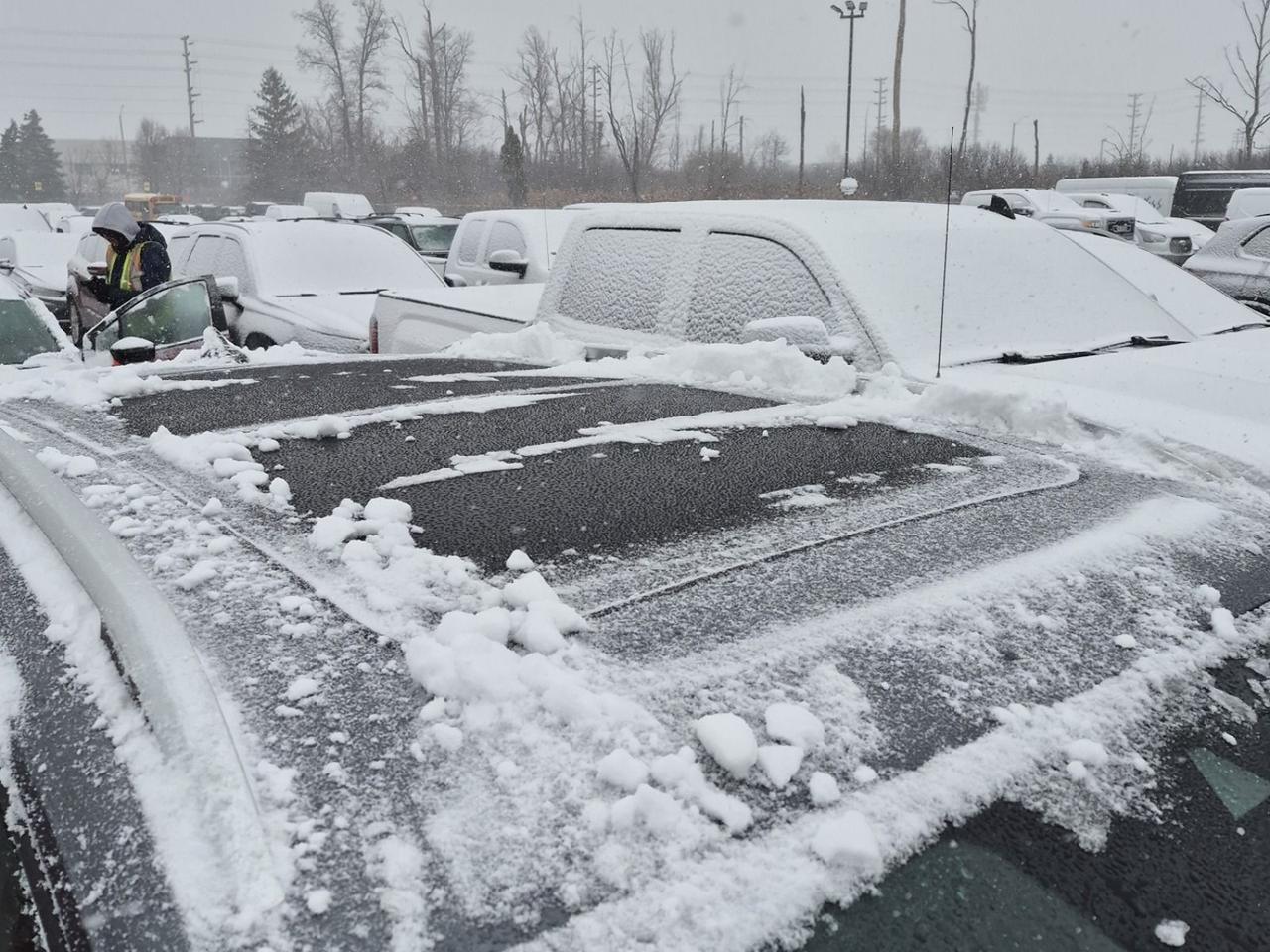 2024 Volkswagen Taos Comfortline Photo