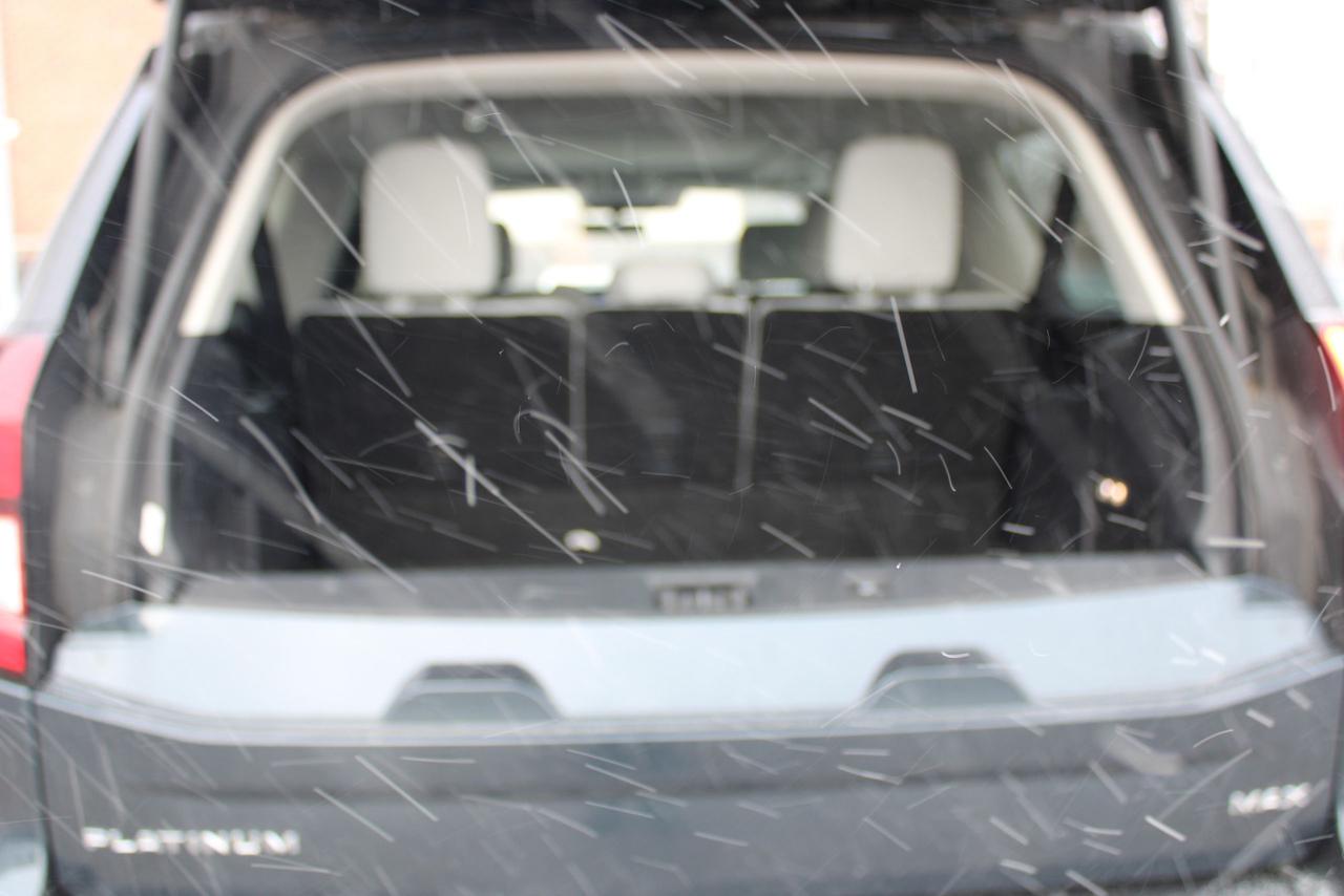 2025 Ford Expedition Platinum Max Photo