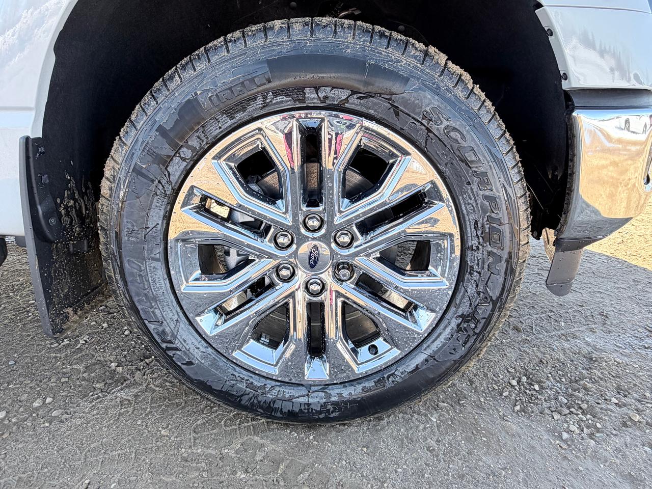 2026 Ford F-150 XLT Photo3