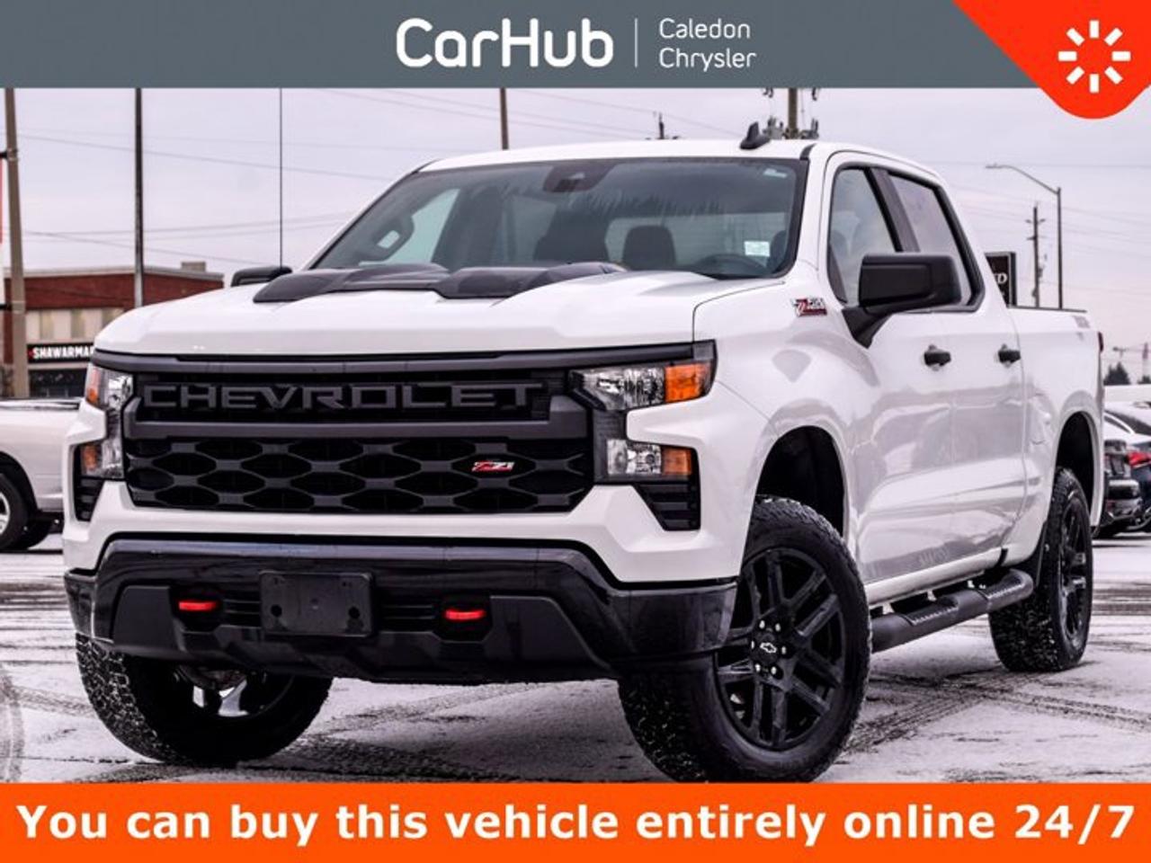 2024 Chevrolet Silverado 1500 Custom Trail Boss 4WD Crew Cab 147" Photo0