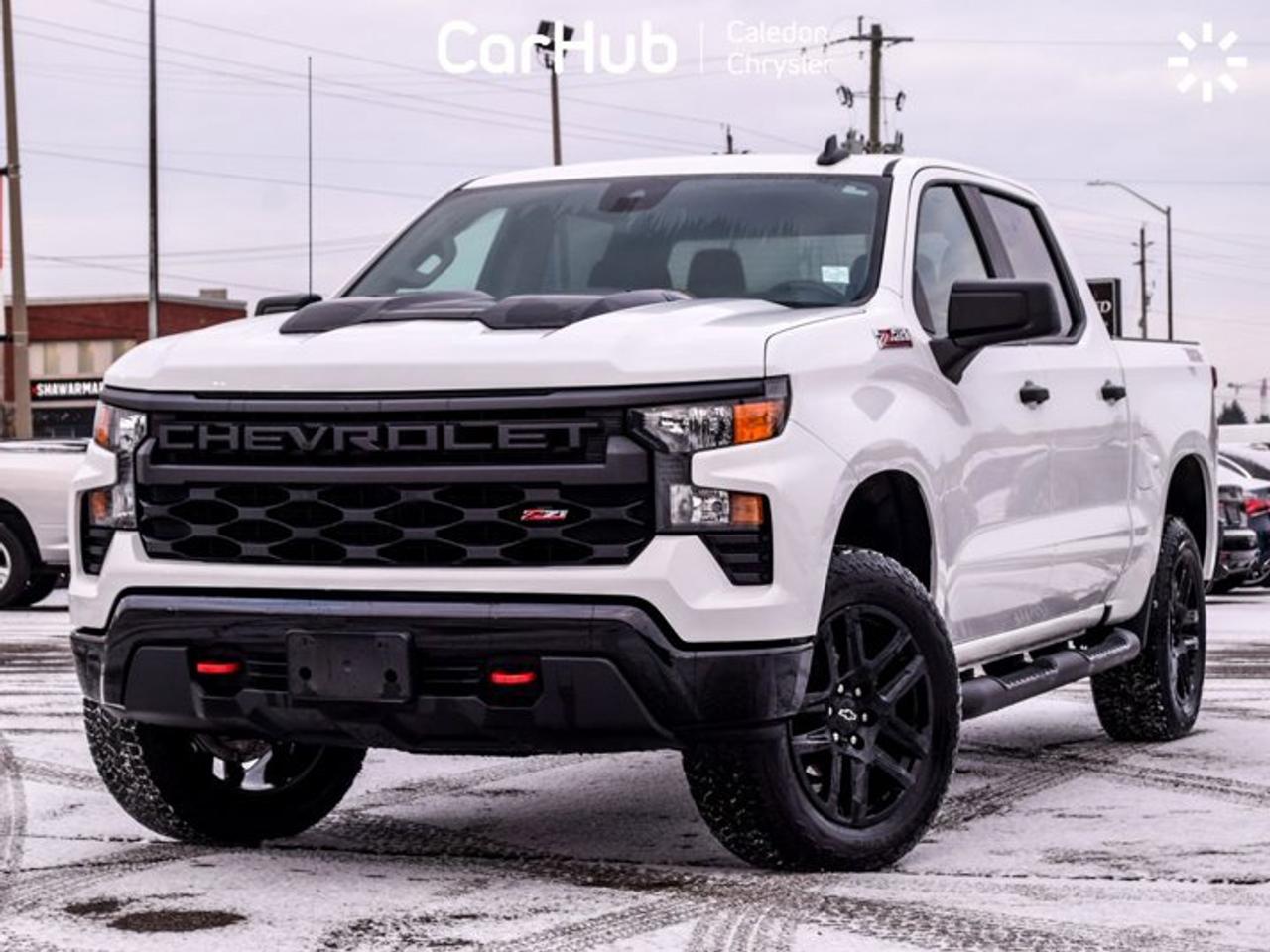 2024 Chevrolet Silverado 1500 Custom Trail Boss 4WD Crew Cab 147" Photo