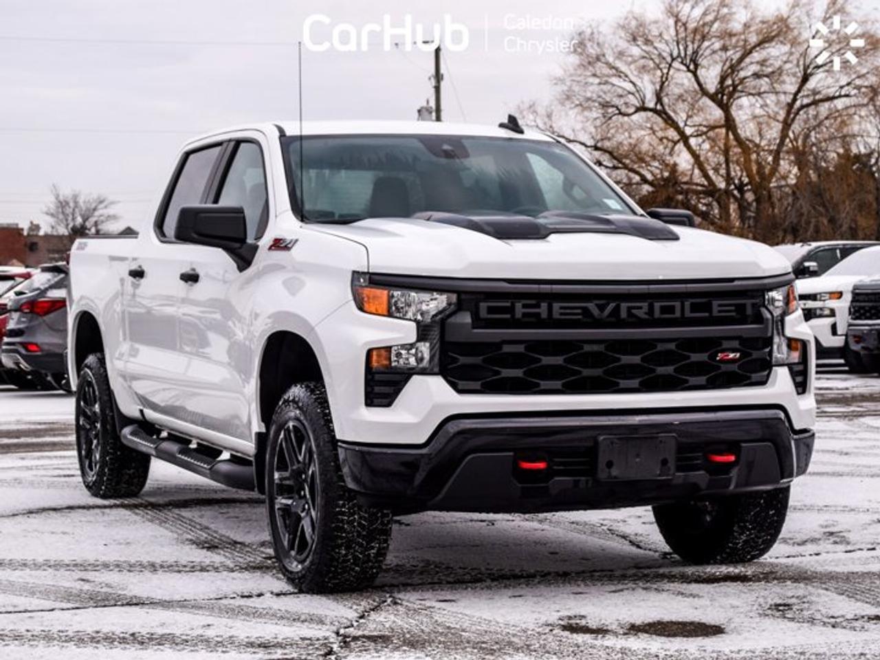 2024 Chevrolet Silverado 1500 Custom Trail Boss 4WD Crew Cab 147" Photo