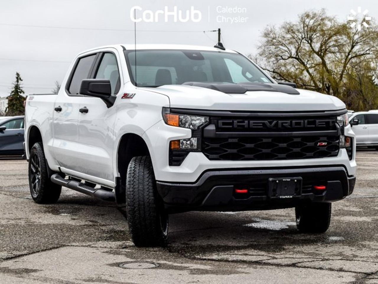 2024 Chevrolet Silverado 1500 Custom Trail Boss 4WD Crew Cab 147" Z71 5.3 L 6 Passenger Photo