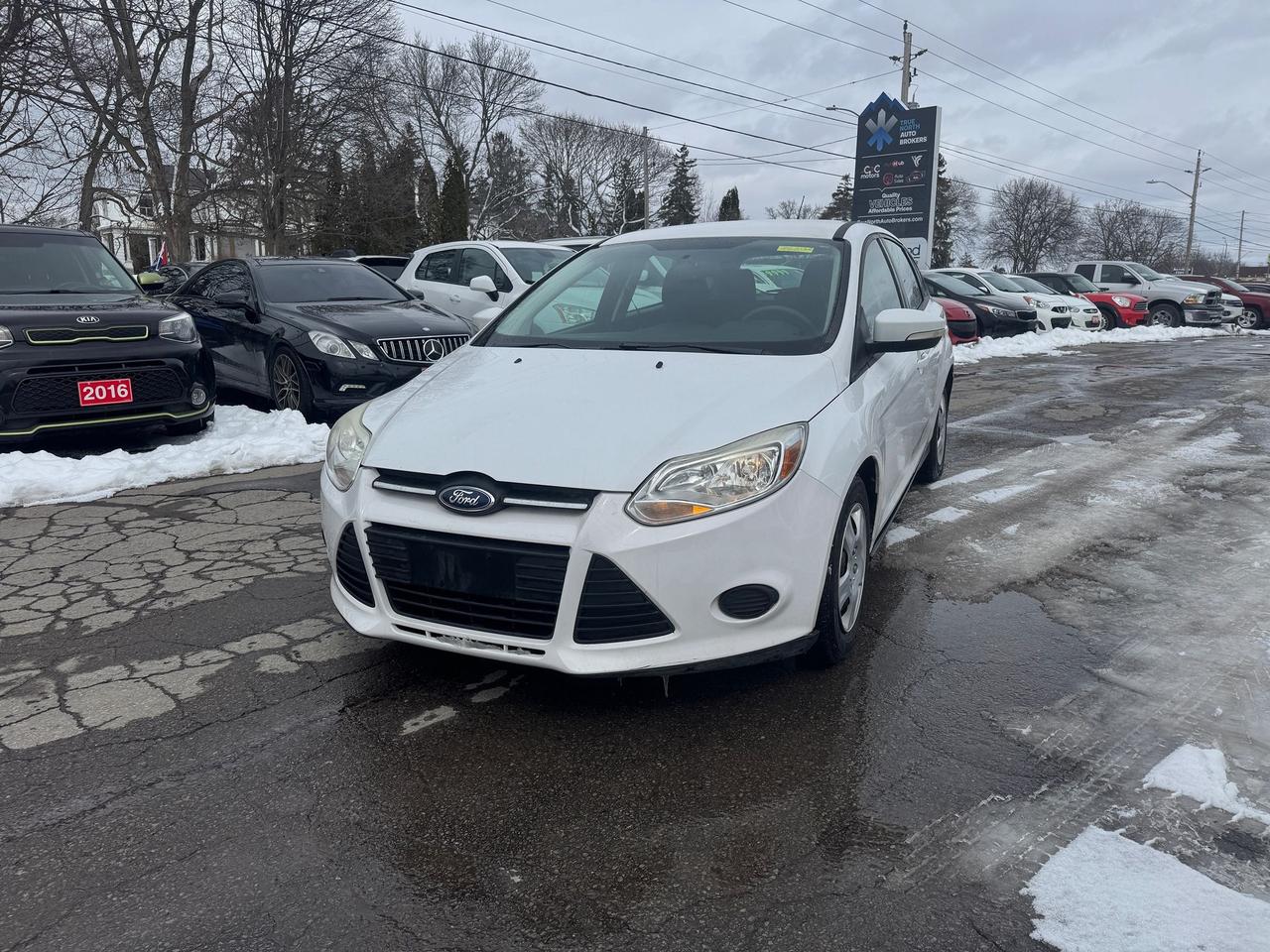 2013 Ford Focus 5DR HB SE Photo