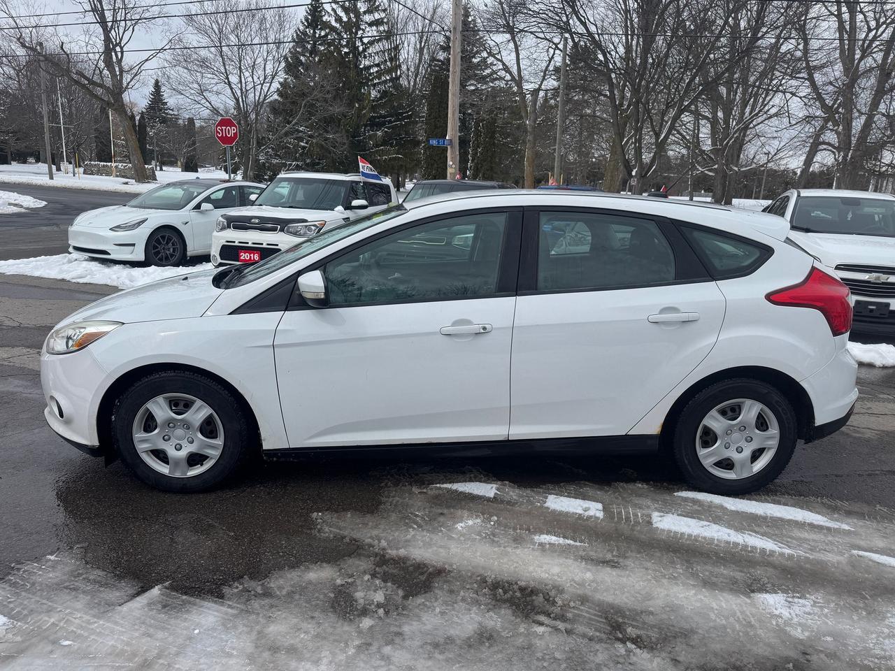 2013 Ford Focus 5DR HB SE Photo2