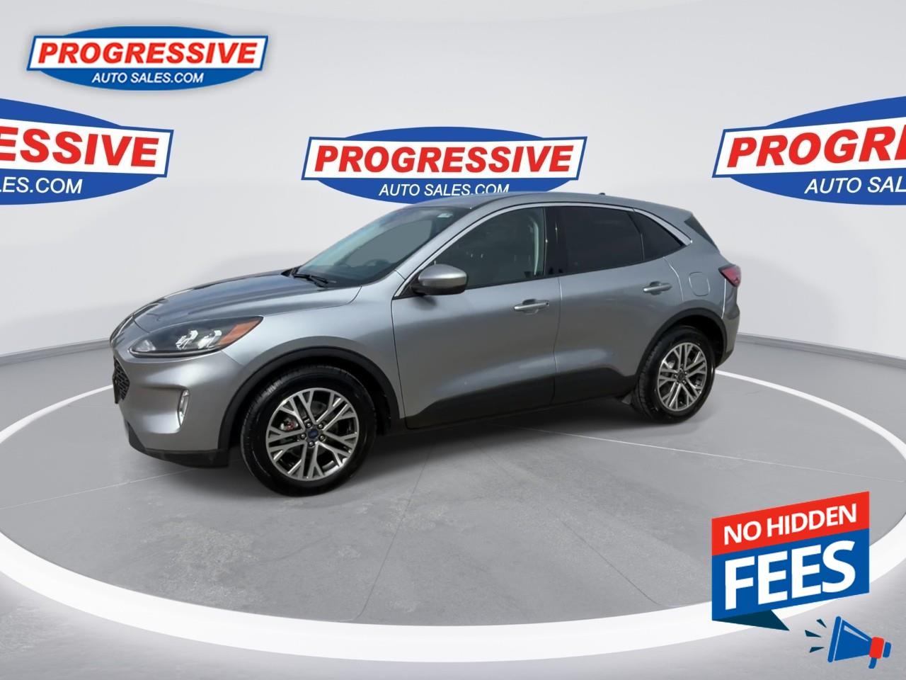 2022 Ford Escape SEL Hybrid Photo