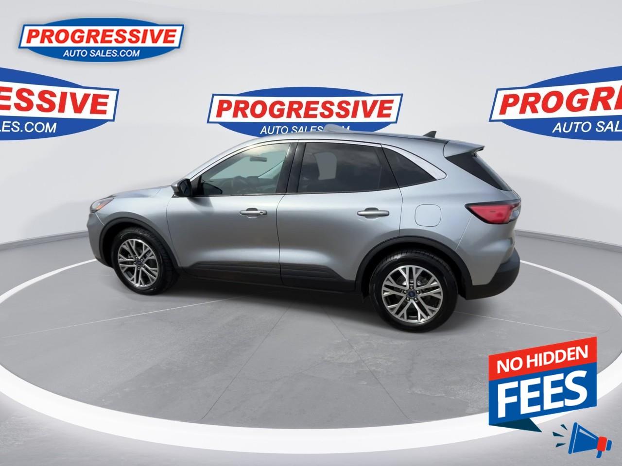 2022 Ford Escape SEL Hybrid Photo