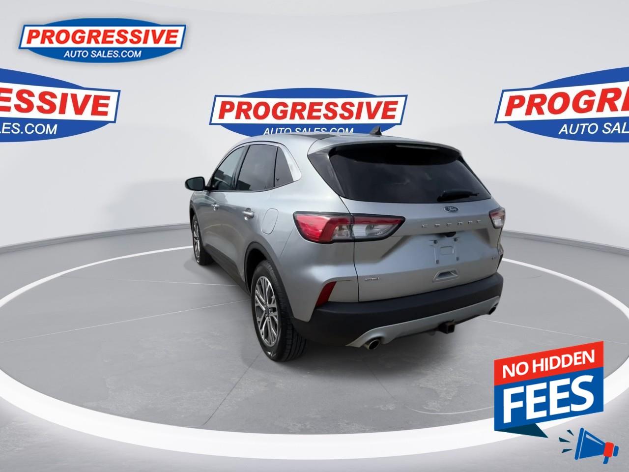 2022 Ford Escape SEL Hybrid Photo