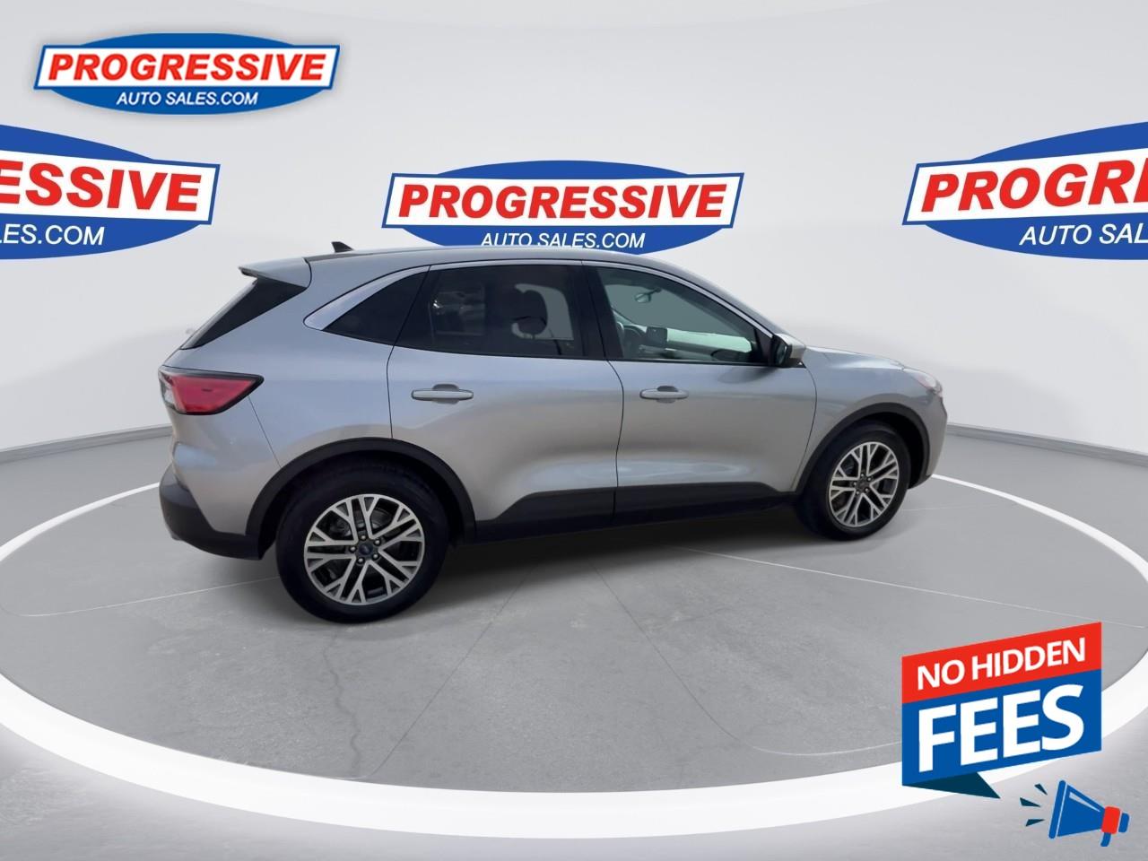 2022 Ford Escape SEL Hybrid Photo