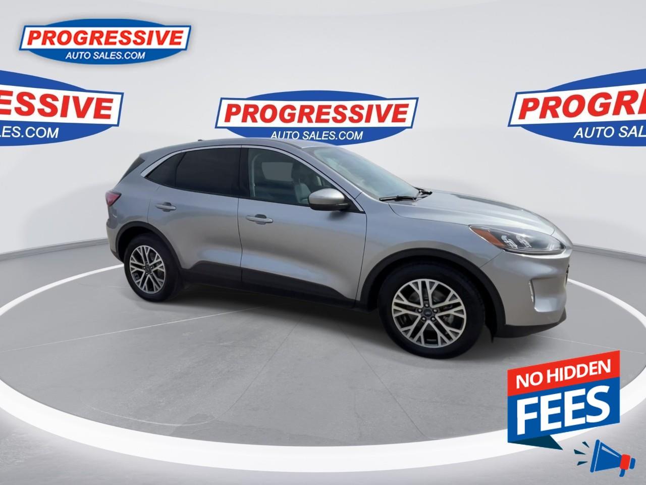 2022 Ford Escape SEL Hybrid Photo