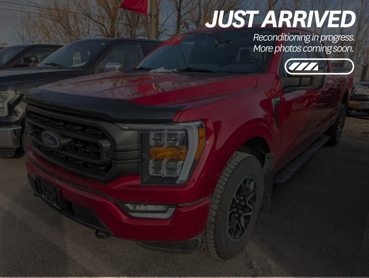 Used 2022 Ford F-150 XLT $352 BI-WEEKLY - NO REPORTED ACCIDENTS, ONE OWNER, LOW KILOMETRES, SMOKE-FREE for sale in Cranbrook, BC