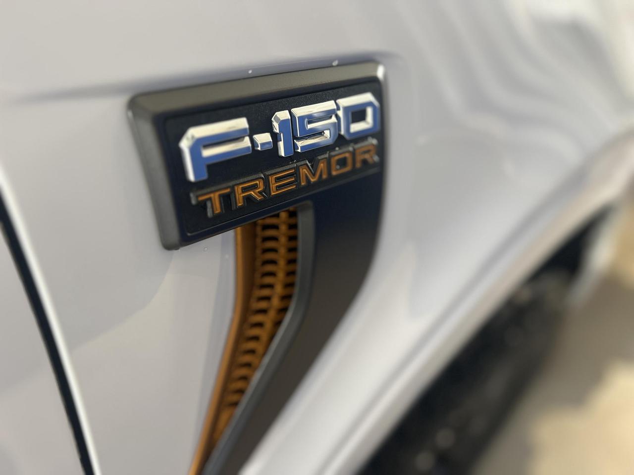 2026 Ford F-150 Tremor 3.5L V6 ECOBOOST 401A+ Photo4