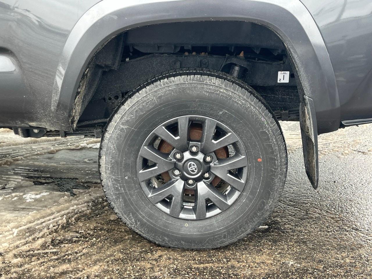 2023 Toyota Tacoma 4x4 Double Cab Auto Photo