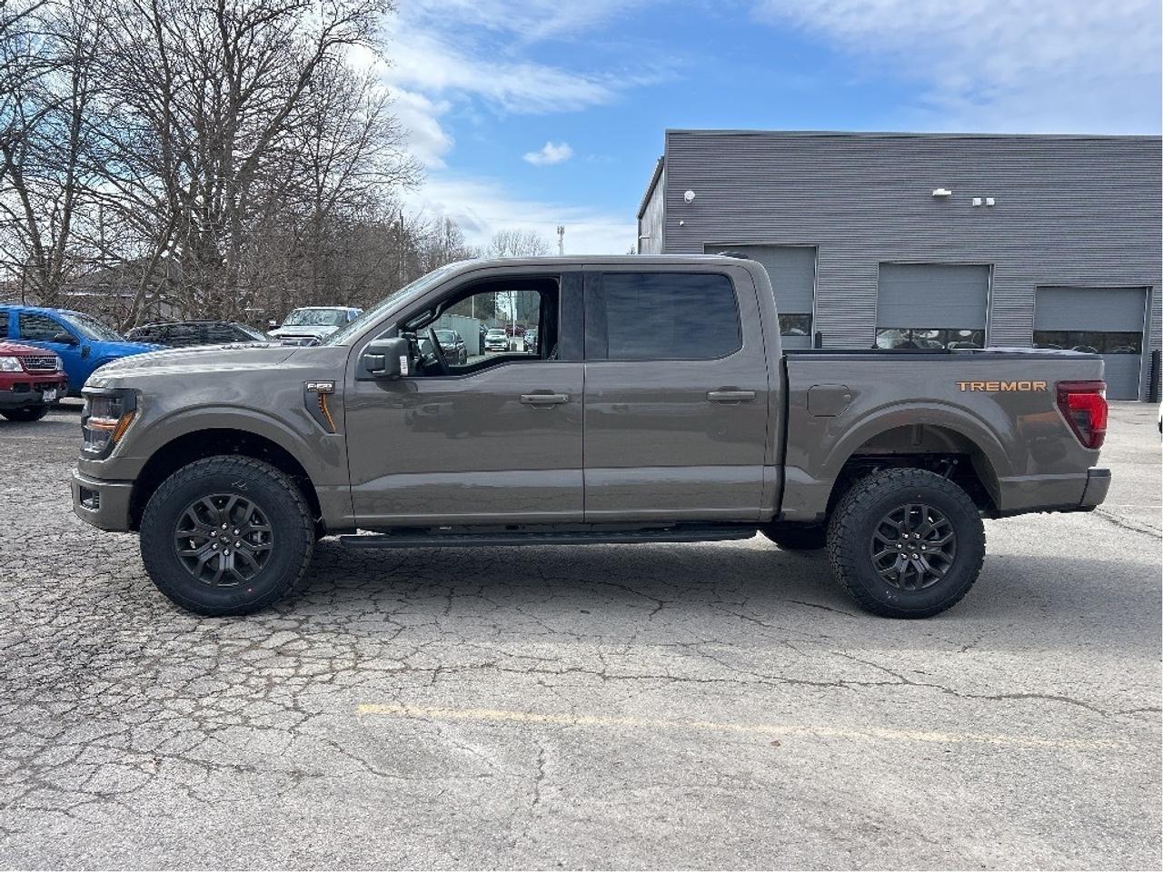 2026 Ford F-150 Tremor 4WD SuperCrew 5.5' Box Photo