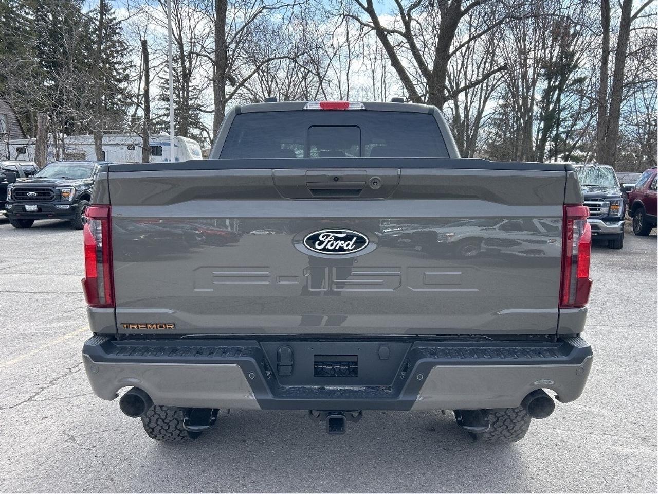 2026 Ford F-150 Tremor 4WD SuperCrew 5.5' Box Photo3