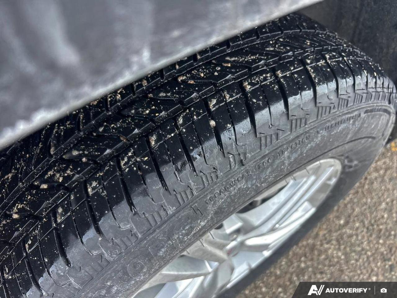 2024 GMC Terrain SLE Photo