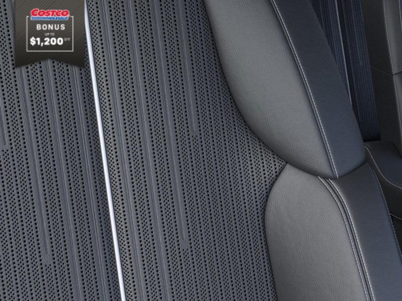 2026 Cadillac VISTIQ Luxury AWD 4dr Luxury Photo