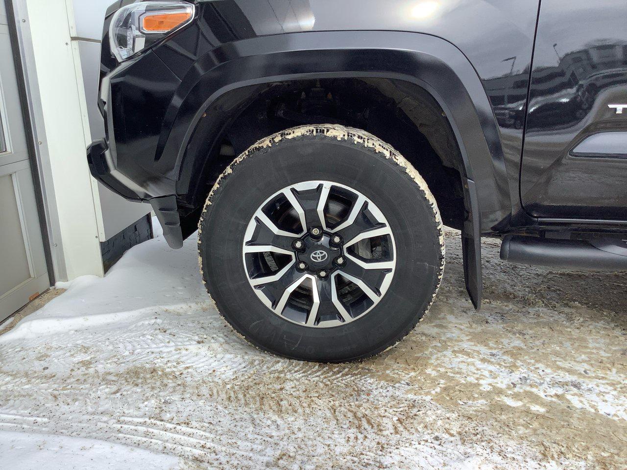 2022 Toyota Tacoma TRD Sport Photo