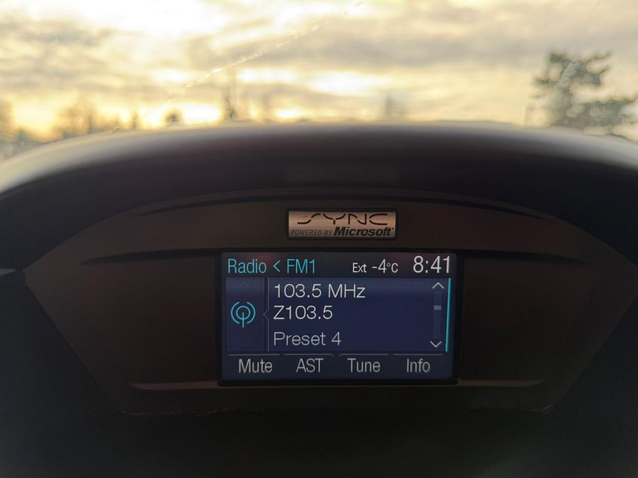 2013 Ford Escape SE 4dr Front-wheel Drive Automatic Photo