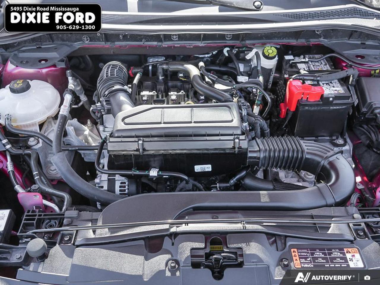 2025 Ford Escape ST-Line Photo