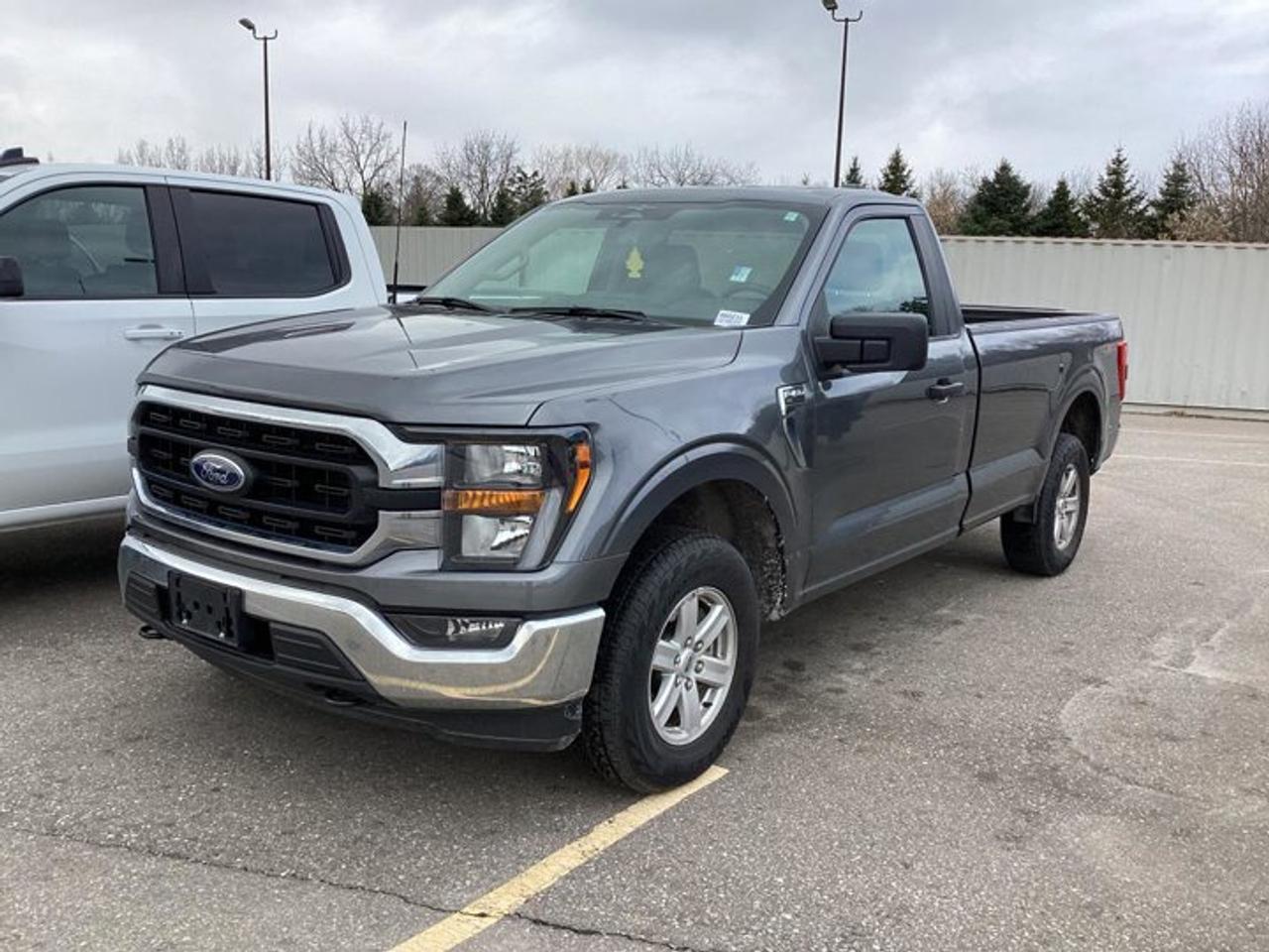 2023 Ford F-150 XLT Reg Cab 8' Box 4WD | No accidents Photo
