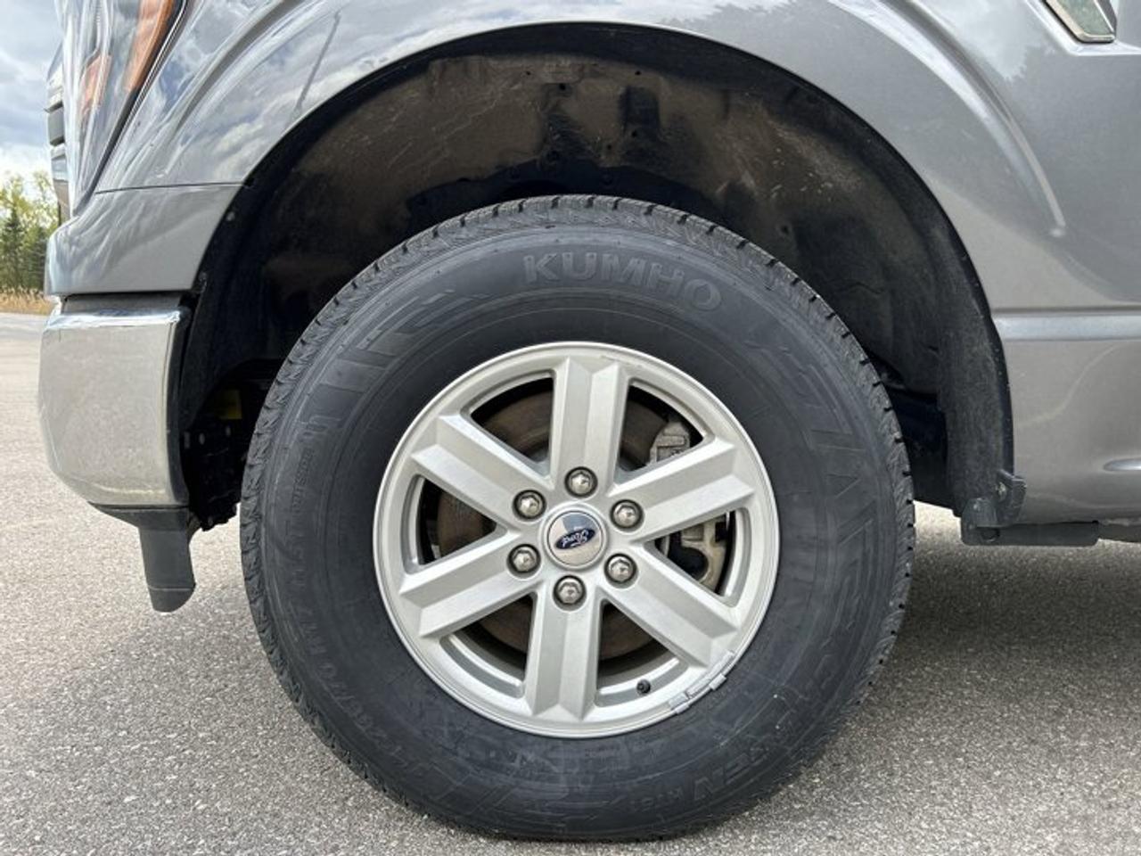 2023 Ford F-150 XLT Photo