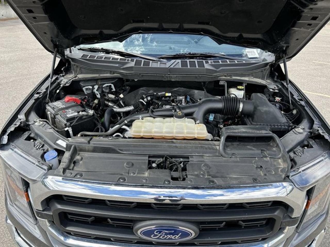 2023 Ford F-150 XLT Photo